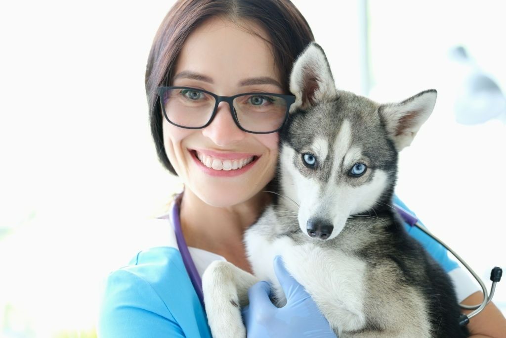 10 Important Questions to Ask a Pet Euthanasia Provider