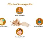 Effects of Ashwagandha