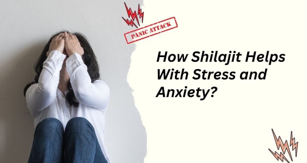 How Shilajit Helps With Stress and Anxiety?